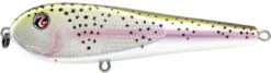 River2Sea ICBM 120 Hard Stickbait/Glidebait 21 River2Sea ICBM 120 Hard Stickbait/Glidebait -Fishing Products Store 02RainbowTrout eadba6ed 8576 49bb ae99 7c2d8eb79b04