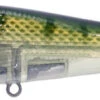 River2Sea ICBM 120 Hard Stickbait/Glidebait -Fishing Products Store 06BlueGill