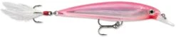 Rapala X-Rap 10 Medium Diving Jerkbait -Fishing Products Store 12381499293751
