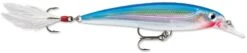 Rapala X-Rap 10 Medium Diving Jerkbait -Fishing Products Store 12381499752503