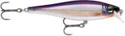 Rapala Balsa Xtreme BX Minnow 10 Medium Diving Jerkbait 17 Rapala Balsa Xtreme BX Minnow 10 Medium Diving Jerkbait -Fishing Products Store 12582631866423