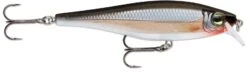 Rapala Balsa Xtreme BX Minnow 10 Medium Diving Jerkbait 19 Rapala Balsa Xtreme BX Minnow 10 Medium Diving Jerkbait -Fishing Products Store 12582631931959