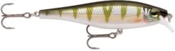 Rapala Balsa Xtreme BX Minnow 10 Medium Diving Jerkbait 21 Rapala Balsa Xtreme BX Minnow 10 Medium Diving Jerkbait -Fishing Products Store 12582631997495