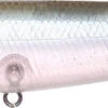 Lucky Craft Sammy 100 Topwater Walker 2 Lucky Craft Sammy 100 Topwater Walker -Fishing Products Store 12651524915255