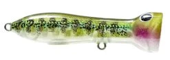 Nomad Design Chug Norris Freshwater/Inshore Popper -Fishing Products Store 12674578841655