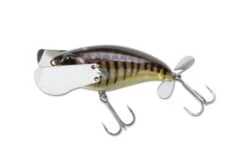 Jackall Pompadour Jr. Topwater Lure 15 Jackall Pompadour Jr. Topwater Lure -Fishing Products Store 12984638144567
