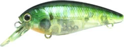 Lucky Craft Moonsault CB-100 Shallow Diving Crankbait -Fishing Products Store 13025143095351