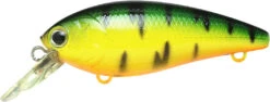 Lucky Craft Moonsault CB-100 Shallow Diving Crankbait -Fishing Products Store 13025143128119