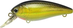 Lucky Craft Moonsault CB-100 Shallow Diving Crankbait -Fishing Products Store 13025143160887