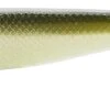 Z-Man SwimmerZ 6 Inch Paddle Tail Swimbait 3 Pack -Fishing Products Store 14480533422135