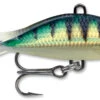 Rapala Jigging Shad Rap 1 Inch WSR02 Ice Jigs -Fishing Products Store 31314017321049