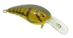 SPRO Mike McClelland RkCrawler 50 Medium Diving Crankbait -Fishing Products Store 31420391260249