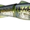 Chasebaits Drunken Mullet 95/130 Topwater Prop Lure 2 Chasebaits Drunken Mullet 95/130 Topwater Prop Lure -Fishing Products Store 31431098630233