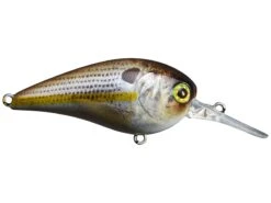 Jackall MC60 MR Medium Diving Crankbait -Fishing Products Store 32150471704665