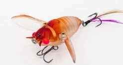Chasebaits Ripple Cicada 1 3/4 Inch Wakebait Crawler -Fishing Products Store 32233146941529