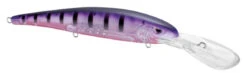 SPRO MadEye Minnow 120 Deep Diving Walleye Trolling Lure -Fishing Products Store 32339518750809