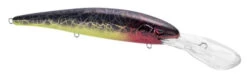 SPRO MadEye Minnow 120 Deep Diving Walleye Trolling Lure -Fishing Products Store 32339518914649