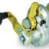 Shimano Talica 2-Speed Lever Drag Conventional Reels -Fishing Products Store 39256855707737