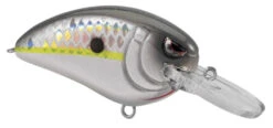 SPRO Little John MD 50 Type R Medium Diving Crankbait -Fishing Products Store 39332415307865