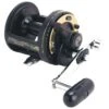 Shimano TLD Triton 1-Speed Lever Drag Conventional Reels -Fishing Products Store 39356718219353