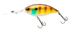 Hardcore Crank 75F 4+ Deep Diving Crankbait 17 Hardcore Crank 75F 4+ Deep Diving Crankbait -Fishing Products Store 39376076472409