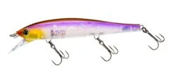 Hardcore Minnow Flat 70SP/95SP Suspending Jerkbait 25 Hardcore Minnow Flat 70SP/95SP Suspending Jerkbait -Fishing Products Store 39376113401945