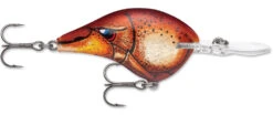 Rapala DT Series Crankbait DT8 -Fishing Products Store 39639347101785