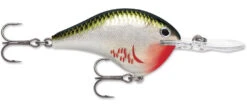 Rapala DT Series Crankbait DT8 -Fishing Products Store 39639347134553