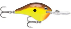 Rapala DT Series Crankbait DT8 -Fishing Products Store 39639347298393
