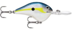 Rapala DT Series Crankbait DT8 -Fishing Products Store 39639347593305