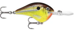 Rapala DT Series Crankbait DT8 -Fishing Products Store 39639347626073