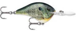 Rapala DT Series Crankbait DT8 -Fishing Products Store 39639347658841
