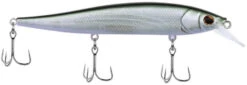 Berkley Stunna Jerkbait 40 Berkley Stunna Jerkbait -Fishing Products Store 39765505409113
