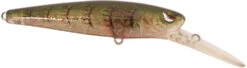 SPRO McRip 85 Jerkbait -Fishing Products Store 39781728354393