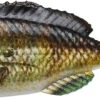 Savage Gear Structure Gill Swimbait -Fishing Products Store 40090735837273
