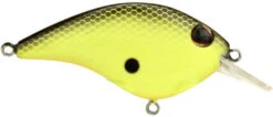 Berkley Clickin Frittside Crankbait -Fishing Products Store 40318246518873