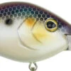 Berkley Dredger Deep Diving Crankbait Deeper Diving Models -Fishing Products Store 40325003018329