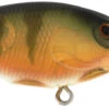 Berkley Money Badger Trolling Plug / Crankbait 1 Berkley Money Badger Trolling Plug / Crankbait -Fishing Products Store 40326907953241