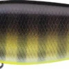 Evergreen International XV-5 X-Over Hybrid Jerk Crankbait -Fishing Products Store 40378014924889