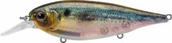 Evergreen International XV-5 X-Over Hybrid Jerk Crankbait -Fishing Products Store 40378015023193