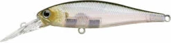 Lucky Craft Pointer 100DD 4 Inch Deep Diving Suspending Jerkbait 15 Lucky Craft Pointer 100DD 4 Inch Deep Diving Suspending Jerkbait -Fishing Products Store 8191205834807 b07633b9 a102 4382 b7ab e25e98580bdd