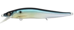 Megabass Ito Vision 110 FX Jerkbait -Fishing Products Store 8301543784503