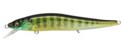Megabass Ito Vision 110 FX Jerkbait -Fishing Products Store 8301543817271 72d87341 c147 4661 bf39 d14cbf68b7c7