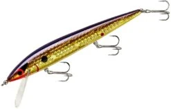 Smithwick Elite 8 Rogue 4 1/2 Inch Suspending Jerkbait -Fishing Products Store ADR4213