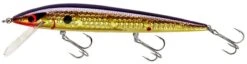Smithwick Elite 8 Rogue 4 1/2 Inch Suspending Jerkbait -Fishing Products Store ADR4213 427dcaa6 8bc9 4645 9527 5e6203b63ad1