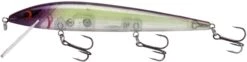 Smithwick Elite 8 Rogue 4 1/2 Inch Suspending Jerkbait -Fishing Products Store ADR4282