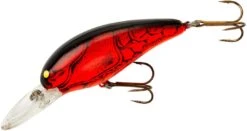 Bomber Model 7A Medium Diving Crankbait -Fishing Products Store B07AXC5 5ebfdafd f4e2 44c3 b14d 07a4a42e537b