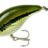 Bandit 100 Series Shallow Diving Crankbait -Fishing Products Store BDT101