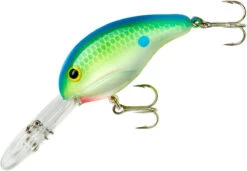 Bandit 300 Series Deep Diving Crankbait -Fishing Products Store BDT3D01