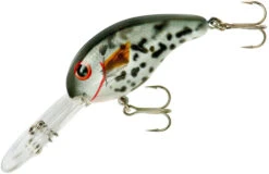 Bandit 300 Series Deep Diving Crankbait -Fishing Products Store BDT3D38